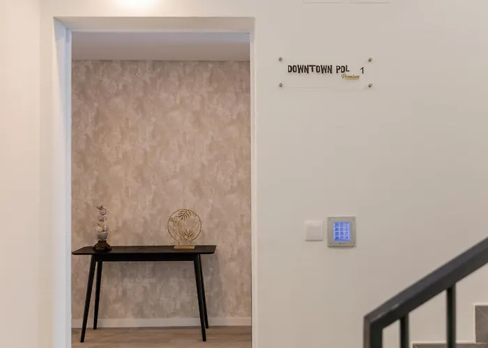 Downtown Pdl Premium